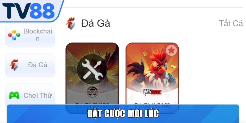 Người chơi đá gà TV88 có thể tham gia đặt cược bất cứ khi nào